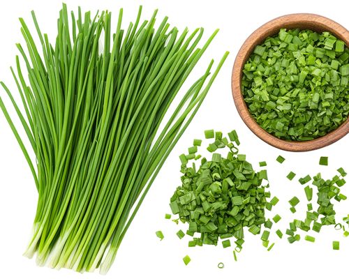 Schnittlauch als Büschel mit langen Halmen und geschnitten in Holzschale