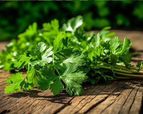 Ein Büschel Koriander auf einer Arbeitsplatte