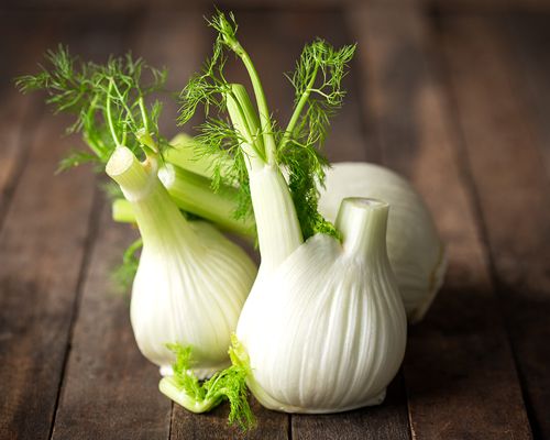 Zwei Fenchel knollen auf einer Arbeitsplatte