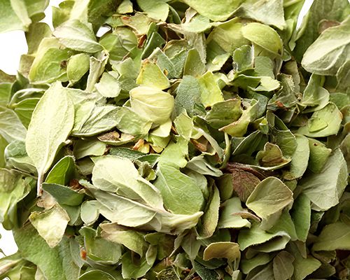 Eine Darstellung getrockneter Limettenblätter