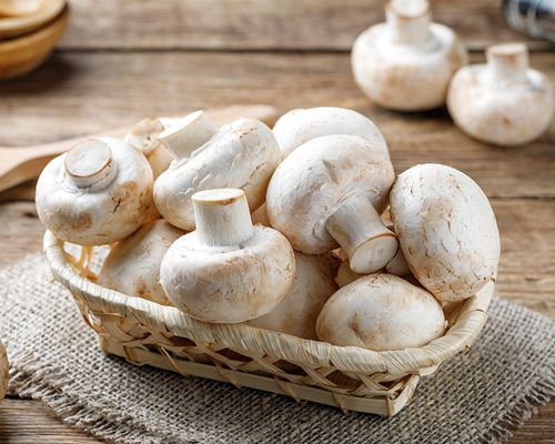 Darstellung von Champions in einem Korb