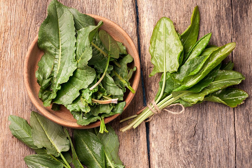 Sauerampferblätter in einer Holzschale